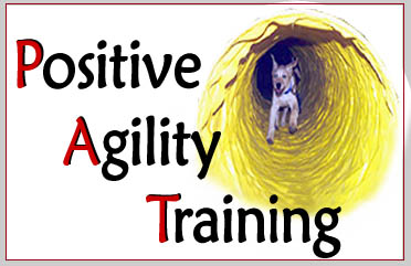 Positive Agility Dog Training Classes - South Mountain Training Center